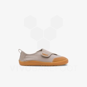 Brown Kids' Vivobarefoot GAIA Shoes | UAE 054KW
